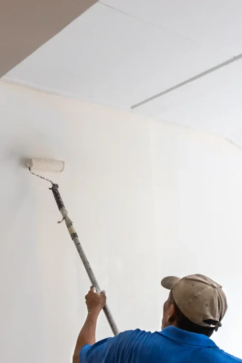 worker-painting-wall-with-coat-of-paint-using-pain-2025-03-05-02-51-05-utc